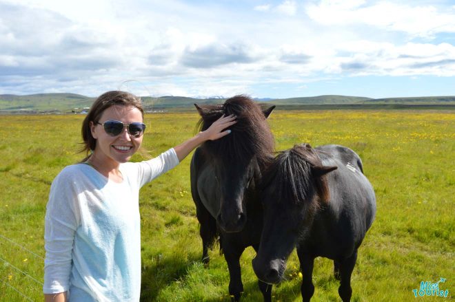 6 Days Guided Tour in a Mini Bus - See the Best of Iceland!