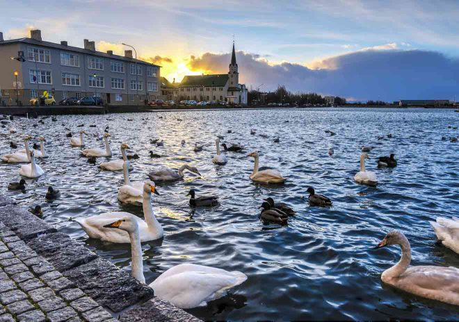 8 Useful Tips For What to Do in Reykjavik on a Budget